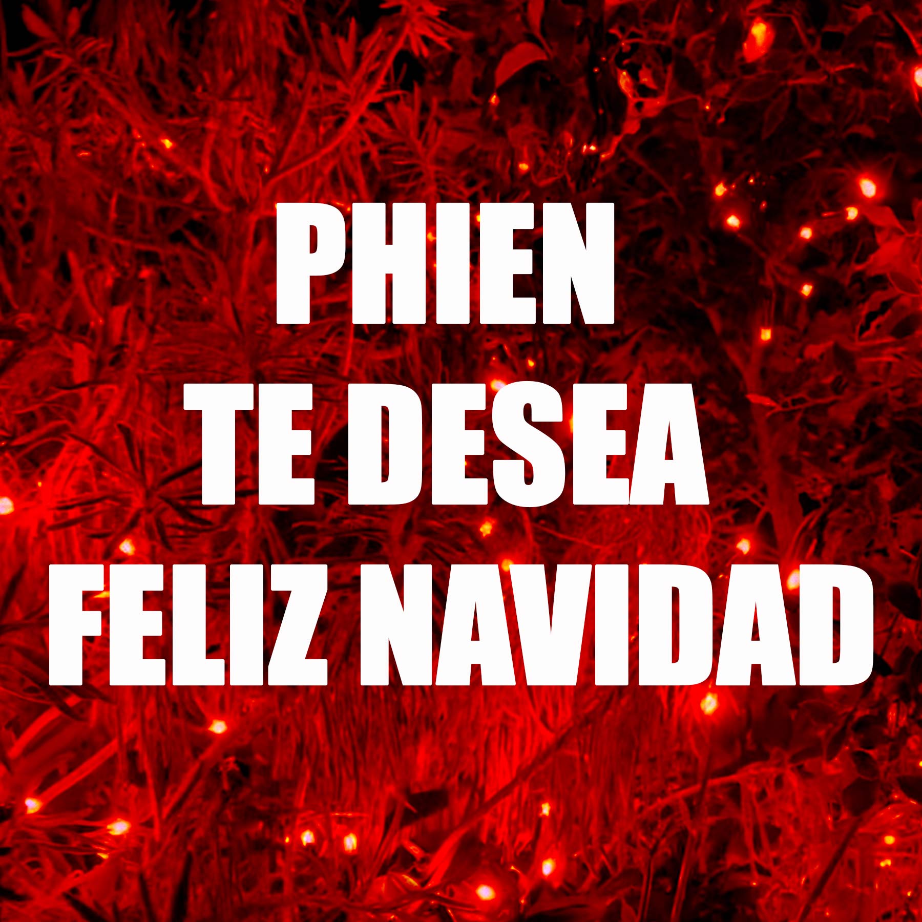 Navidad, Propósitos y Esperanza: Celebrando el Fin de Año con PHIEN - PHIEN